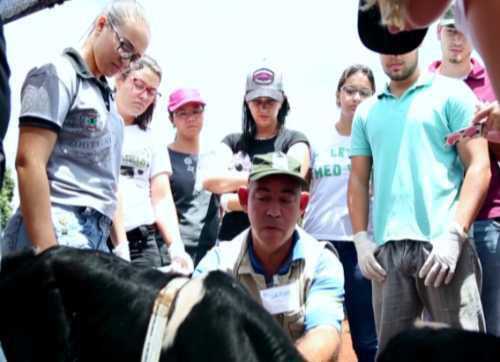  Projeto Jovem no Campo
