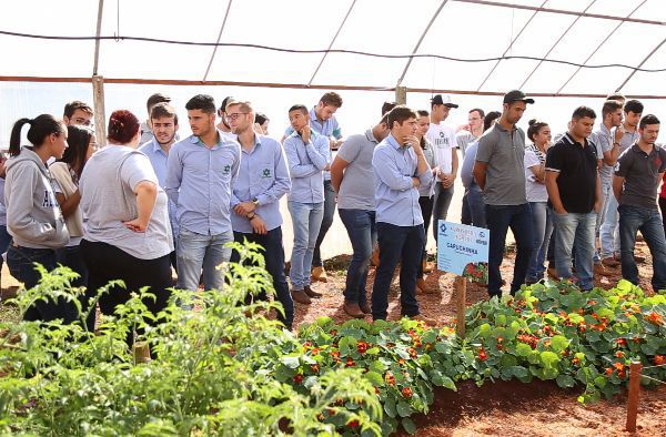 Cultivo de plantas é tema de Projeto Integrador de alunos de Agronomia