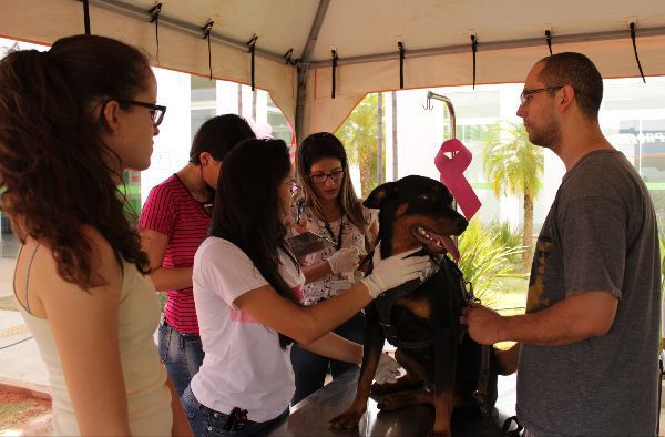 Outubro Rosa-Pets é realizado no Centro Clínico Veterinário