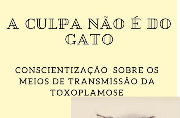 Alunos de Medicina Veterinária desenvolvem projeto sobre transmissão da toxoplasmose