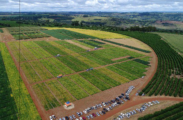 Alunos do curso de Agronomia participam de Dia de Campo no Rio Paranaíba