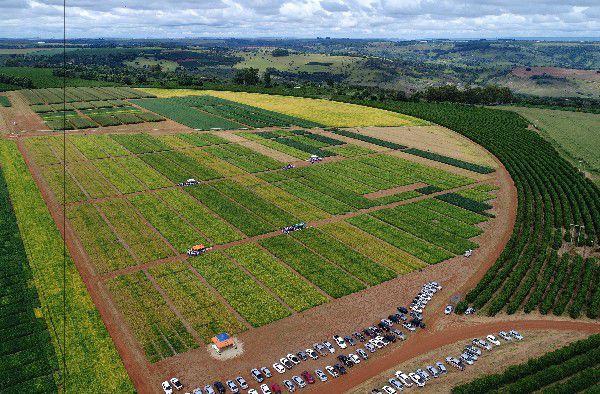 Alunos do curso de Agronomia participam de Dia de Campo no Rio Paranaíba