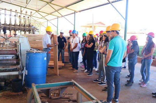 Alunos de Administração visitam as empresas Geriza e S&D Florestal Viveiro