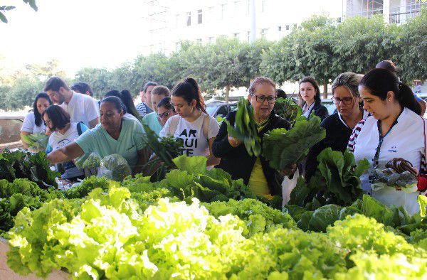 Venda de produtos orgânicos é realizada no UNIPAM