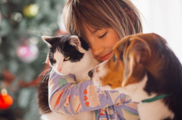 Medicina Veterinária promove III Dia de Cão 