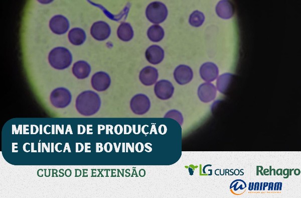 “Medicina de Produção e Clínica de Bovinos” é tema de curso no UNIPAM