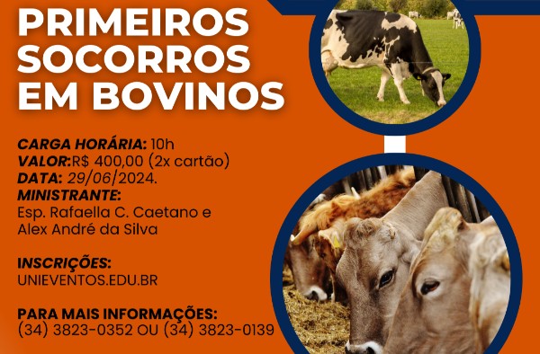 “Primeiros Socorros em Bovinos” é tema de curso no UNIPAM