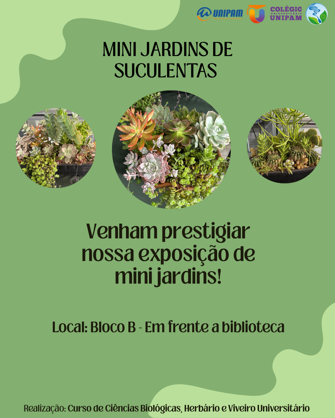 Divulgação Divulgação